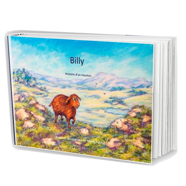 couverture livre billy